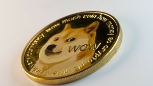 Doge After Elon Musk Tweet. Credit Canva