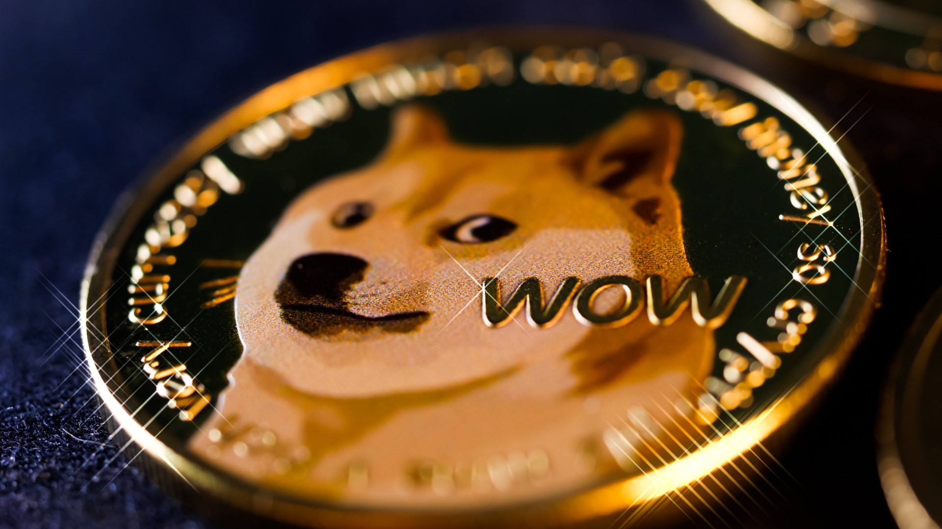 Is Elon Musk Holding Dogecoin. Credit Canva