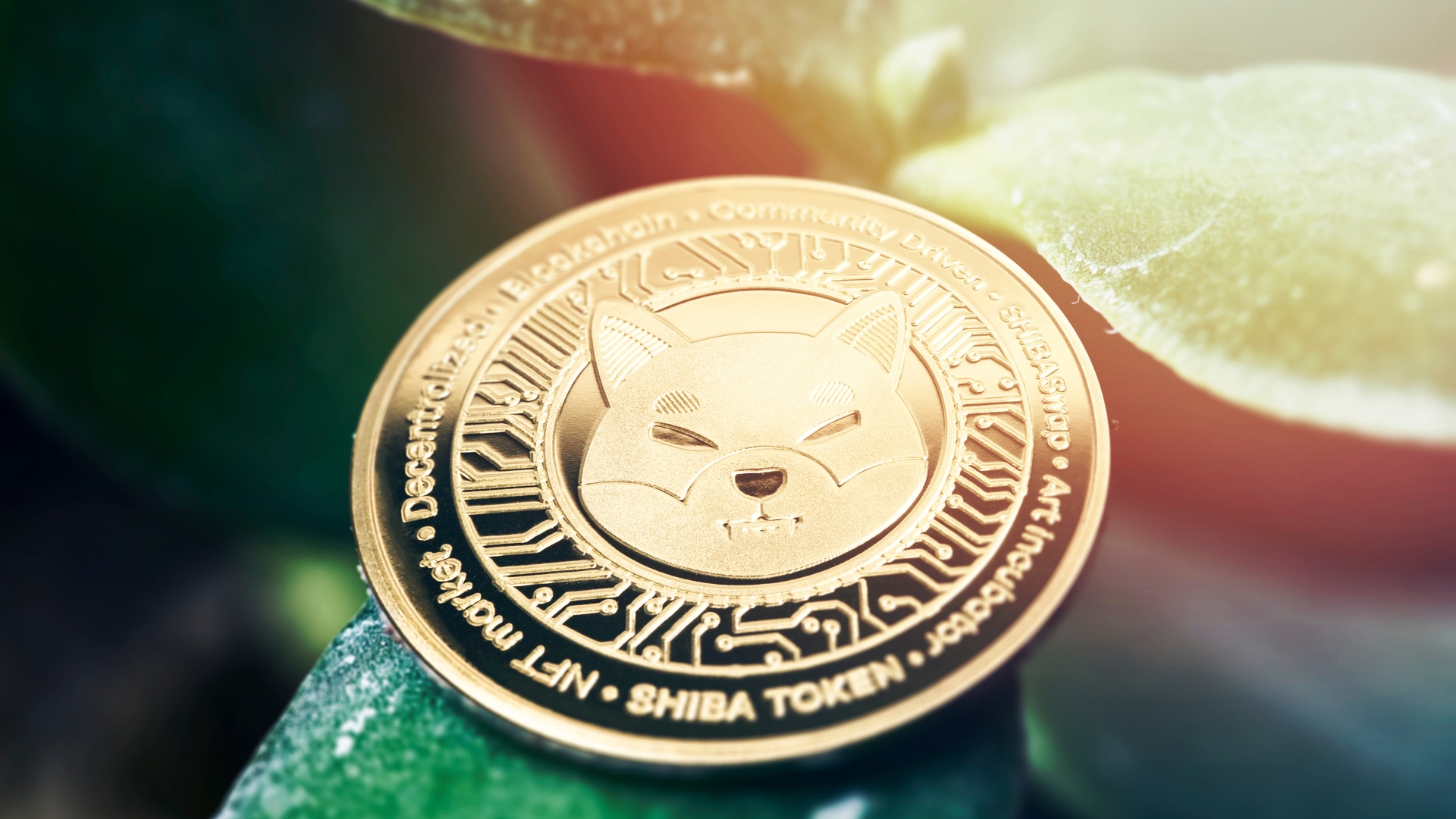 What is Shiba Inu Crypto. Credit Canva